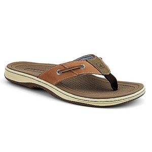 NEW Men’s Baitfish Sperry flip flops